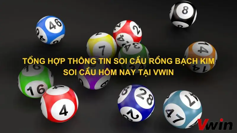 Tong hop thong tin Soi cau Rong bach kim soi cau hom nay tai Vwin